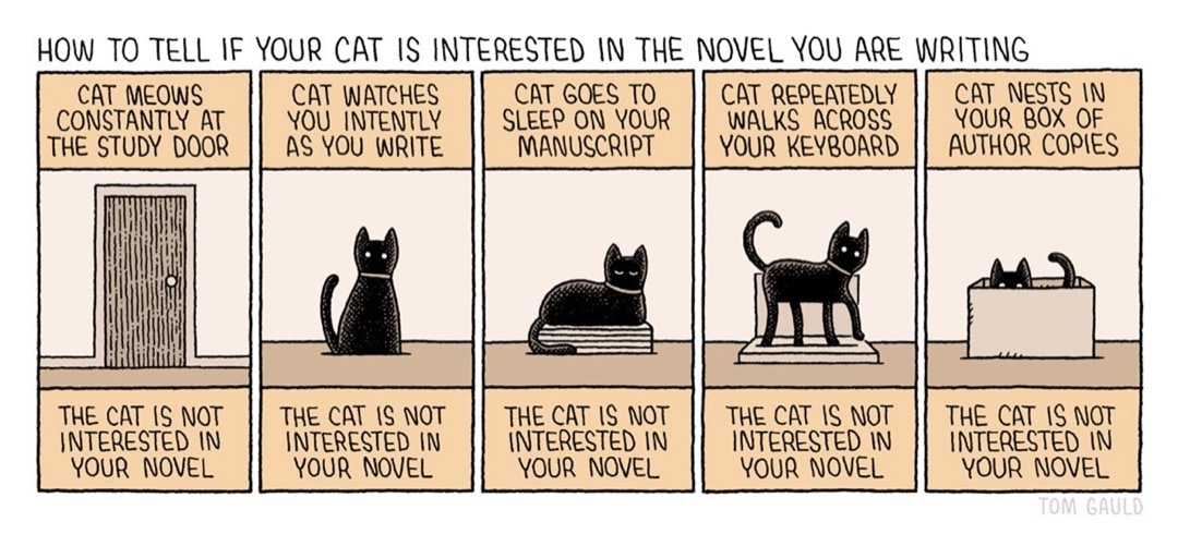 Cat likes novel you write - best cartoons about books