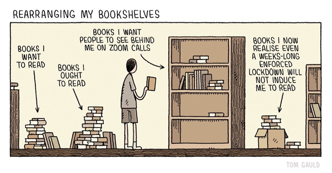 Rearranging My Bookshelves - best cartoons by Tom Gauld